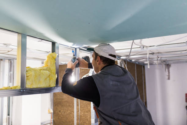 Types of Insulation We Offer in Scott Af, IL