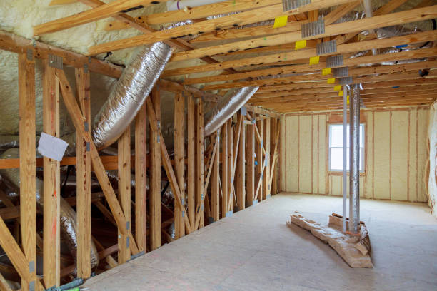 Best Insulation Maintenance and Repair in Scott Af, IL