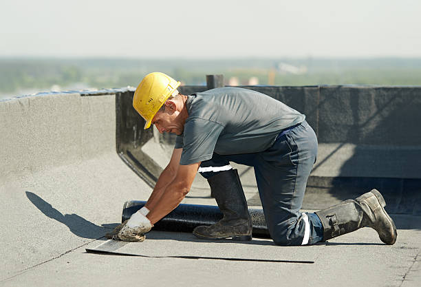 Best Specialized Insulation Services in Scott Af, IL