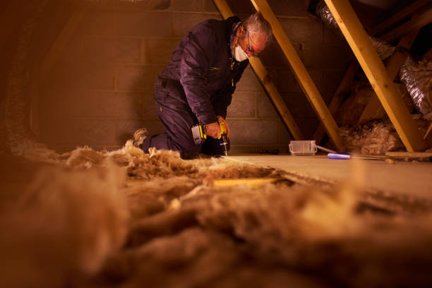 Trusted Scott Af, IL Insulation Contractor Experts